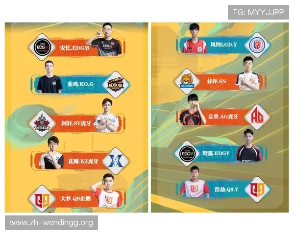 问鼎大舞台pg娱乐，深度揭秘游戏赛事背后的精彩故事与明星玩家的成功经验