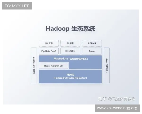 问鼎电竞：利用大数据分析提升赛事运营管理的实用方法