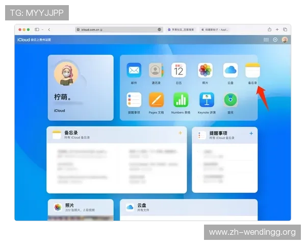 问鼎网页版最新版下载安装遇到问题怎么办，专业解决方案与技术支持推荐