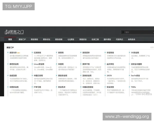 掌握问鼎网页登录的安全登录技巧保障个人信息安全畅享游戏乐趣